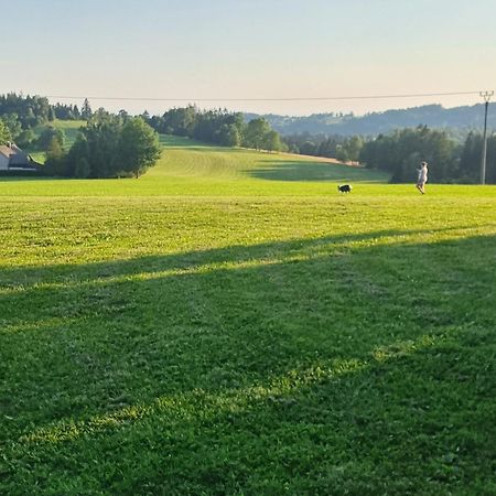 Roubenka Mlyn U Skaly Destne V Orlickych Horach Volne Terminy 5 Bytu 外观 照片